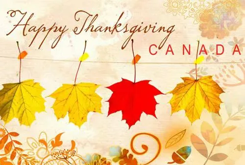 Thanksgiving Ambiance: Lighting in Retail Spaces