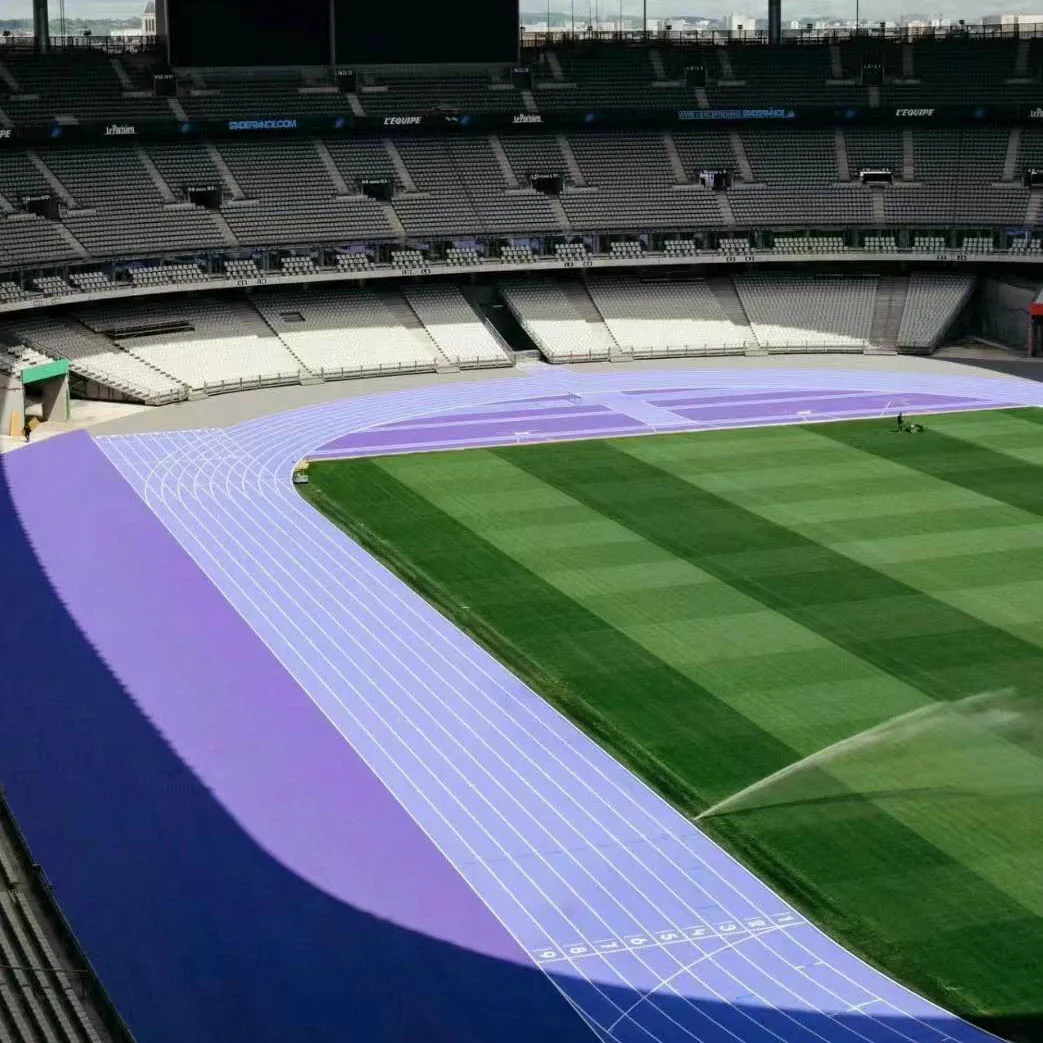 The Vibrant Palette of the 2024 Paris Olympics